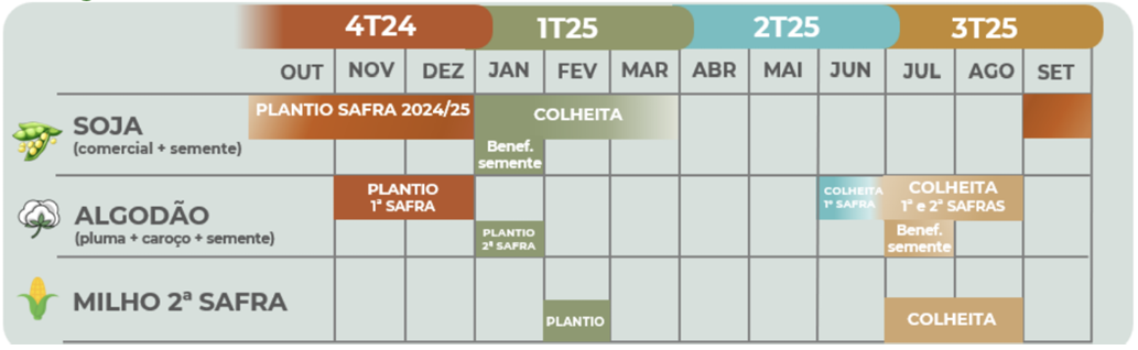 Cronograma ideal de Plantio e Colheita
