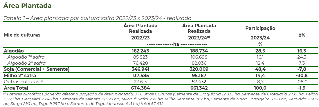 Área plantada da Safra Atual e Anterior